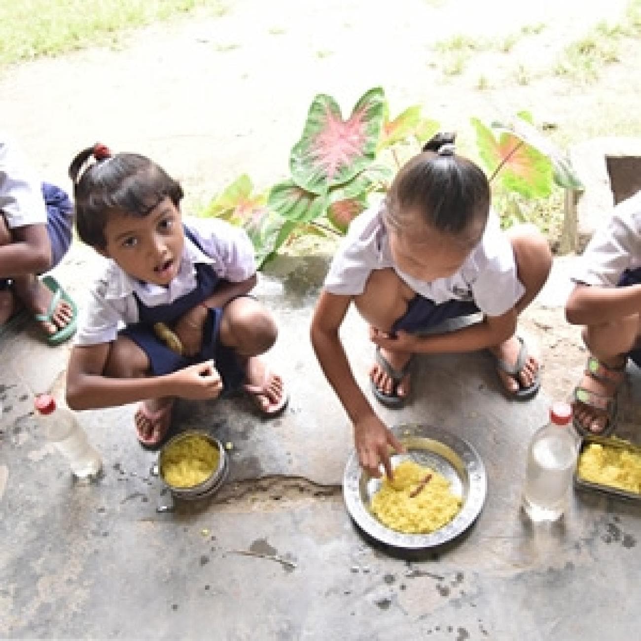 Narayan Seva: How a Small Contribution Feeds a Hungry Family